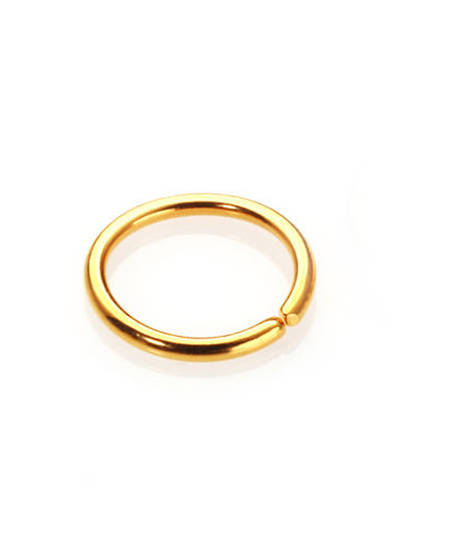 Gold Plate on Sterling Silver Nose Ring 6mm image 0